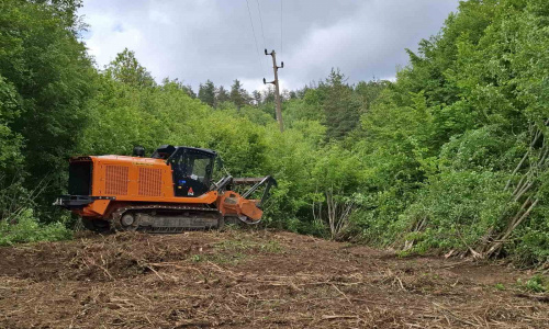 Електроразпределение Север планира да почисти над 1 000 км просеки в Североизточна България през 2026 г. (видео)